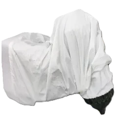 Automatikpistolenschutz